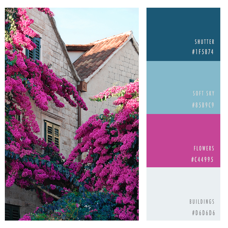 Top 7 Best Color Palettes for Graphic Design This Summer