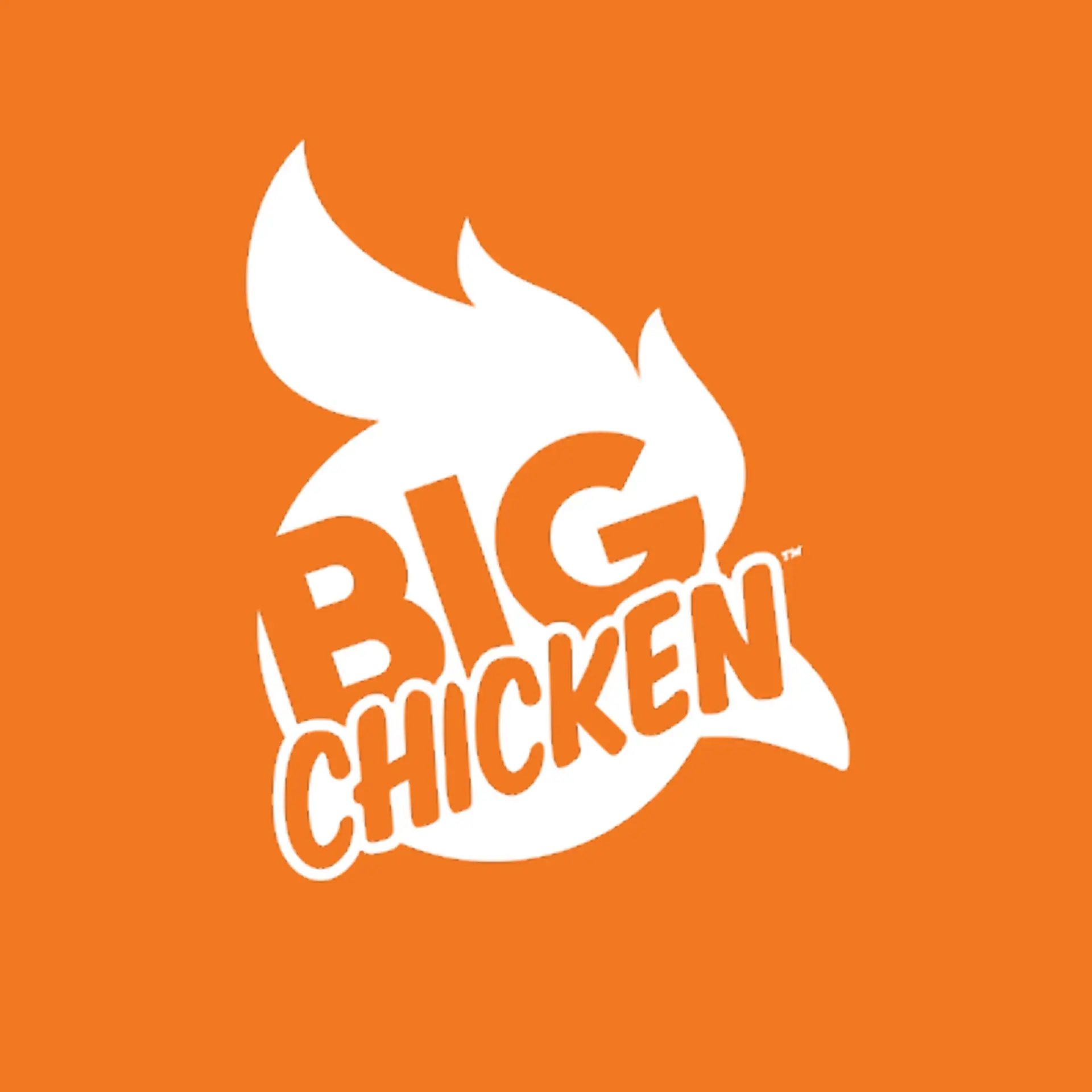 Animated Logo