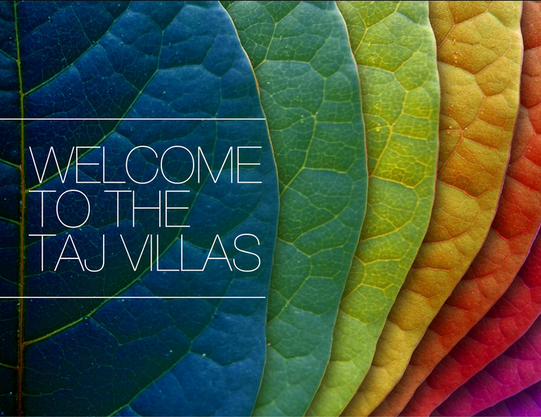 15 Inspiring Brochure Designs That Stand Out From The Crowd