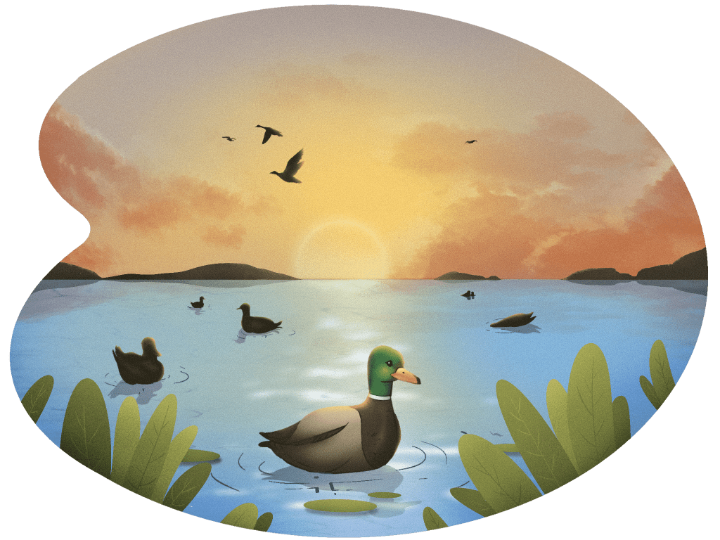 The Ultimate Guide to Running a Successful Illustration Project