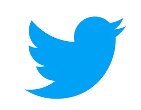 Top Logo Stories: The Curious Case of Twitter