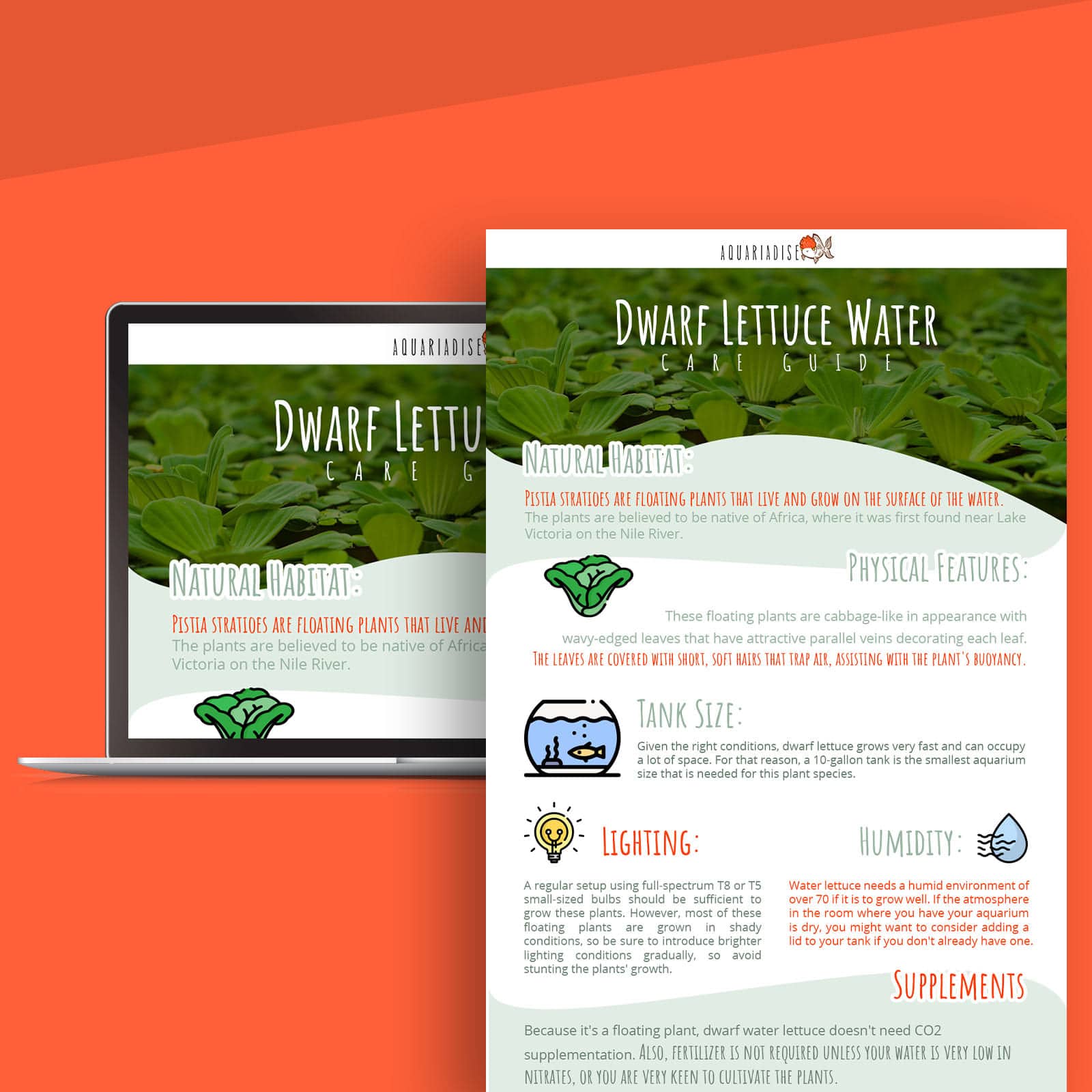 aquatic-plant-infographic-designed-by-Flocksy