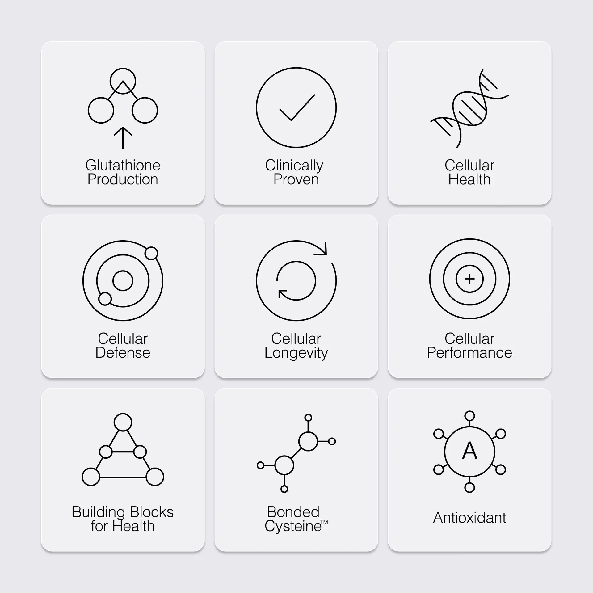 Icon systems 5