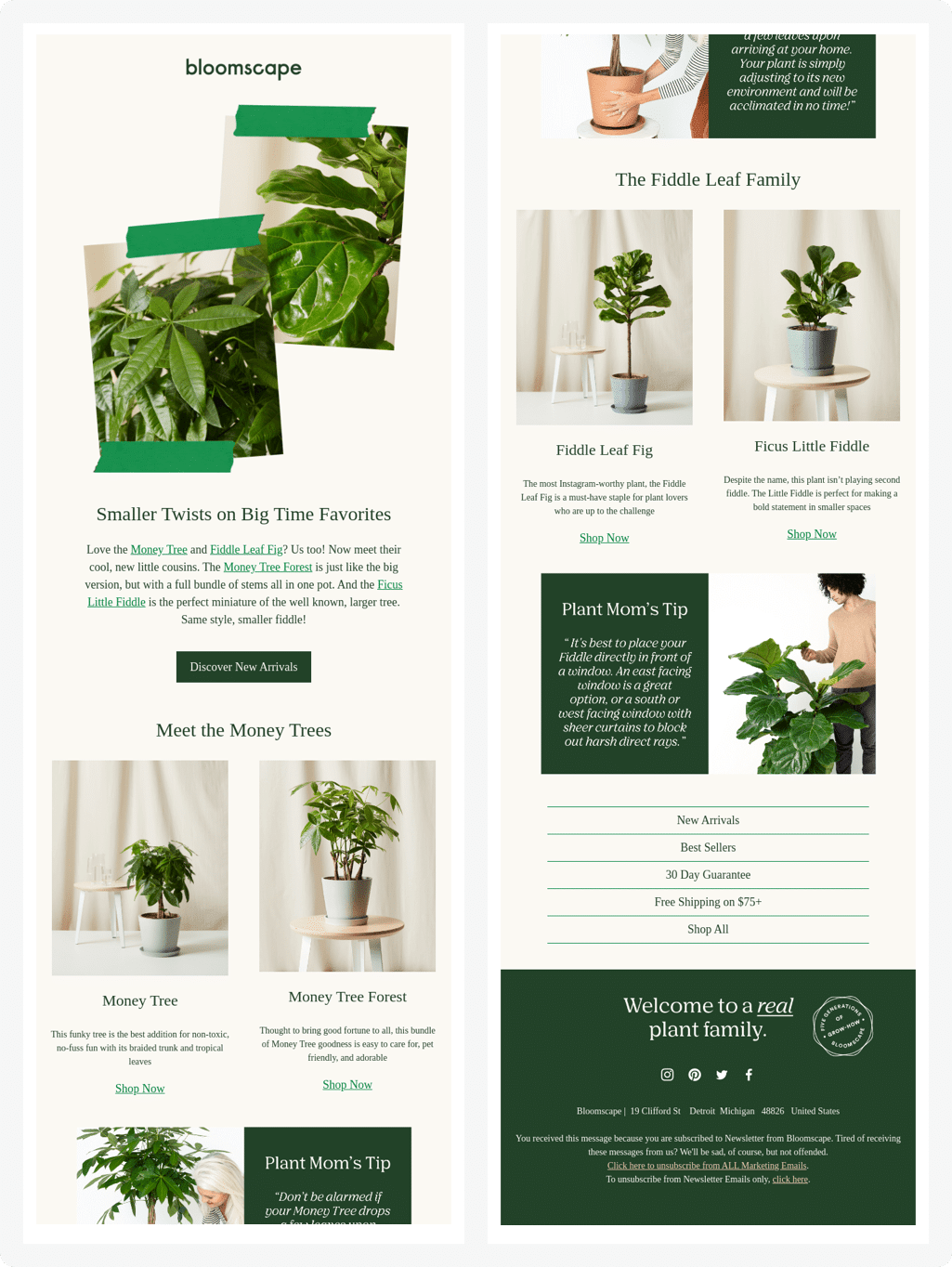 12 Great Newsletter Examples To Inspire You – The Flocksy Blog