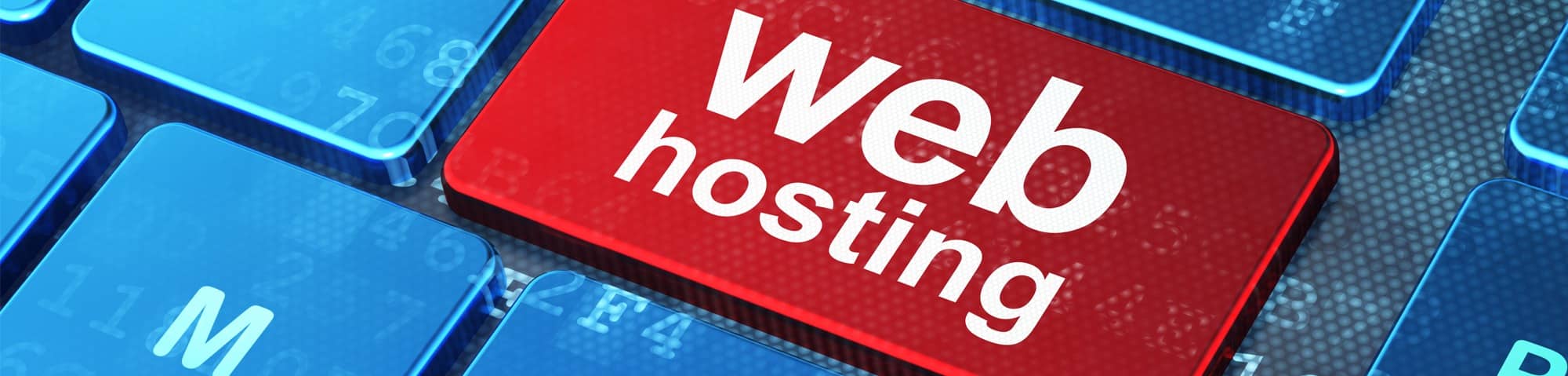 What Is Web Hosting and How Does it Work?