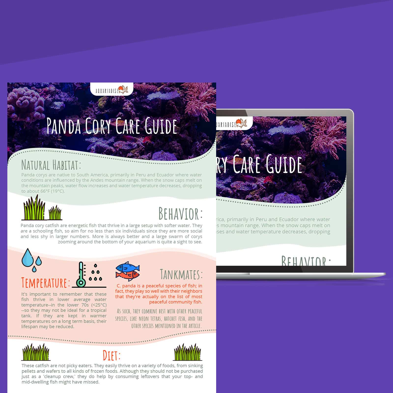 fish-care-infographic-designed-by-Flocksy