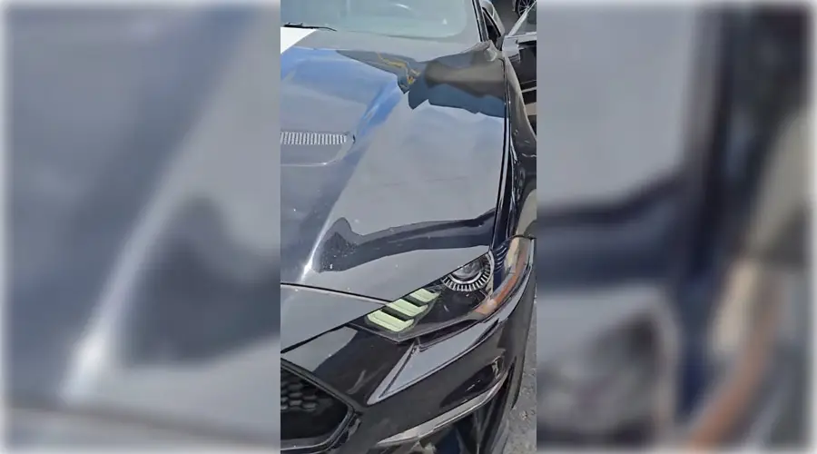 Flocksy YouTube Ad for Mustang Car