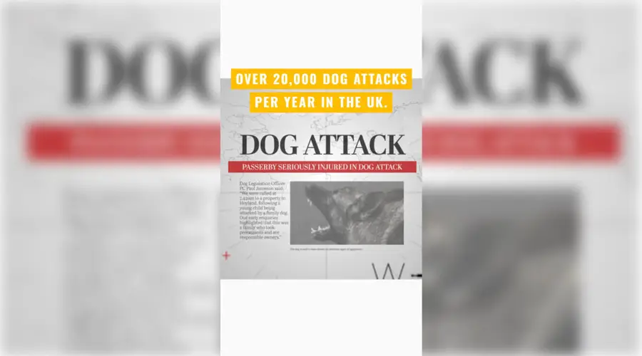 Dog Attack Announcement